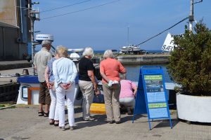 Salg af havfrisk fisk fra kajen, Hasle Bornholm